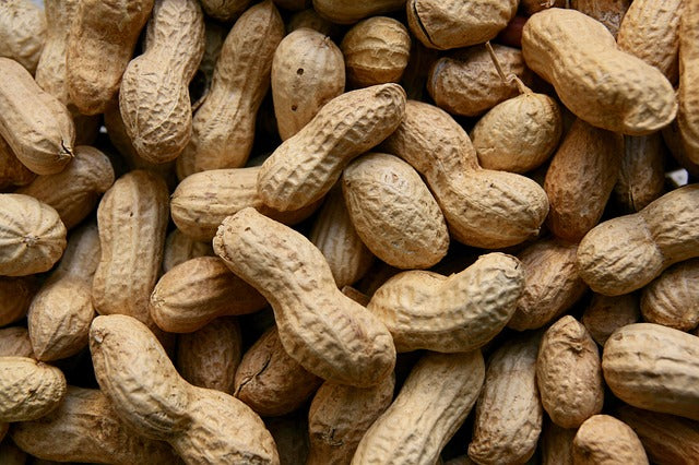 Arašídy neloupané na váhu 100 g