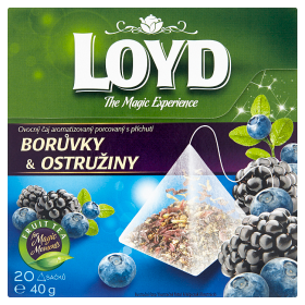 Loyd Ovocný čaj s příchutí borůvky & ostružiny 20 x 2g
